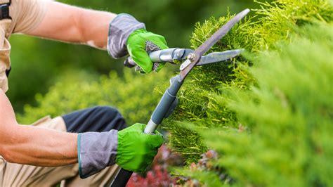 Gardener Vs Landscaper Whats The Difference And Who Should You Hire
