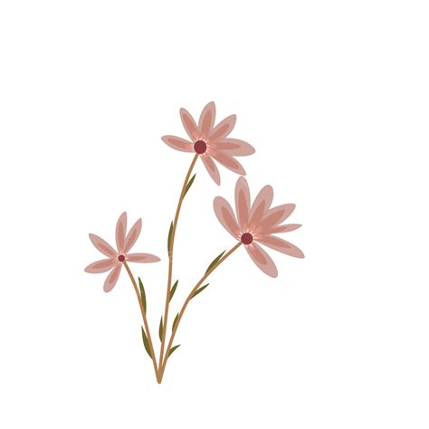 Aesthetic Flower Decoration Beautiful Flower Aesthetic PNG Transparent Clipart Image And PSD