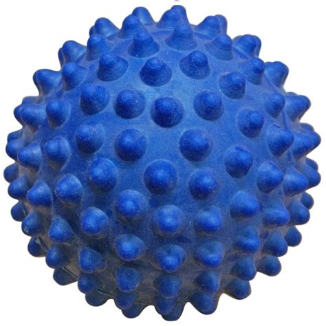 Spikey Ball 100mm Blue Conditioning Balls Product Detail