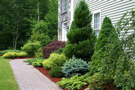 55 Best Ideas For Garden Plants With Low Maintenance 57 Goodsgn Evergreen Landscape Front