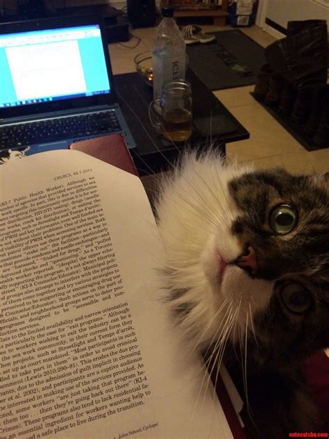 Procrastination Is Already A Problem Hes Not Helping X Post Raww
