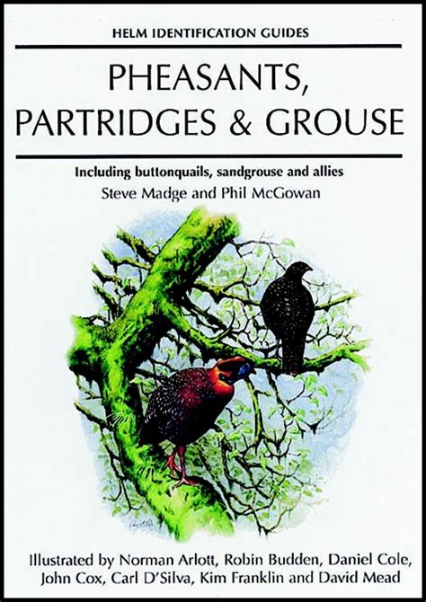 Pheasants Partridges And Grouse Including Buttonquails Sandgrouse