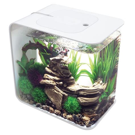 Biorb® Flow 8 Gallon Led Aquarium Aquarium Lighting Biorb Fish Tank
