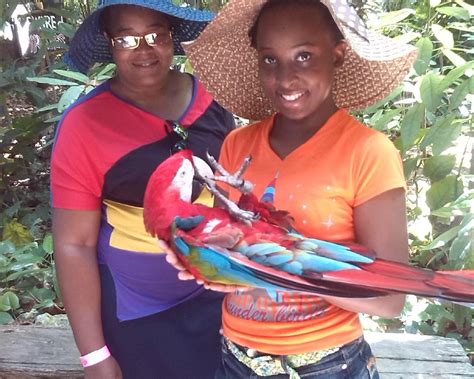 tour jamaica today ocho rios all you need to know before you go