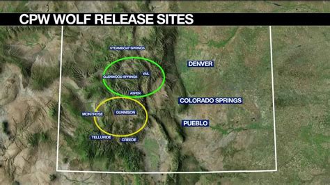 Wolf Reintroduction In Colorado