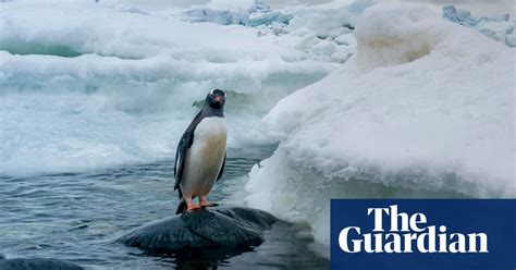 How To Change The Minds Of Climate Deniers Climate Crisis The Guardian