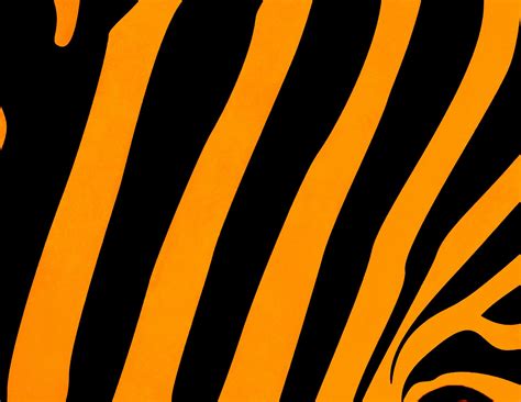 Update More Than Tiger Stripe Wallpaper In Cdgdbentre