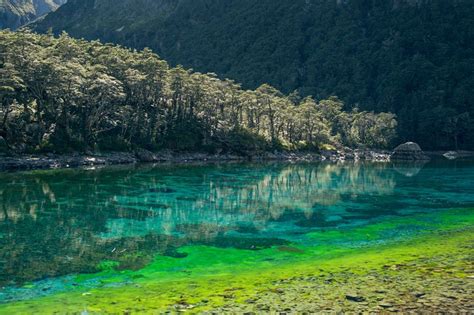 10 Pristine Clearest Lakes In The World To Mesmerize Your Eyes