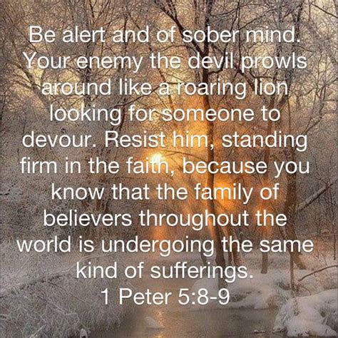 While many scholars will accept the traditional view that the apostle peter is the author of the first letter, the second letter is routinely dismissed as pseudepigraphal. 1 Peter 5:8-9 | Peter 5 8, 1 peter 5, Faith