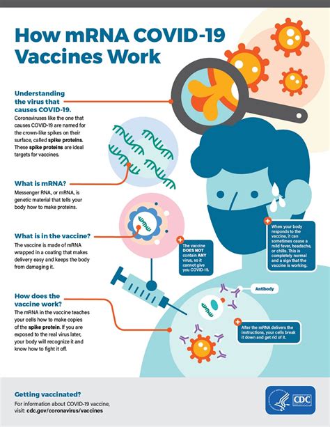 Conozca Como Funcionan Las Vacunas ARNm Como La Pfizer Billie Parker