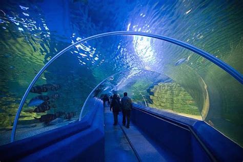 10 Largest Aquariums In The World With Map And Photos Touropia