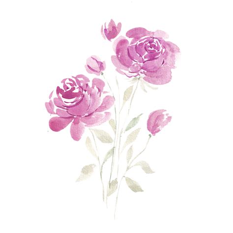 Purple Abstract Rose Watercolor Flower Wedding Decor Watercolor Png