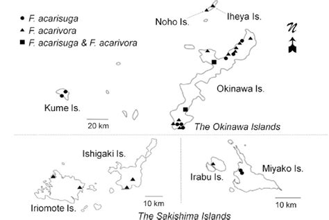 Map Of Major Islands In Okinawa Prefecture Islands With Names Were