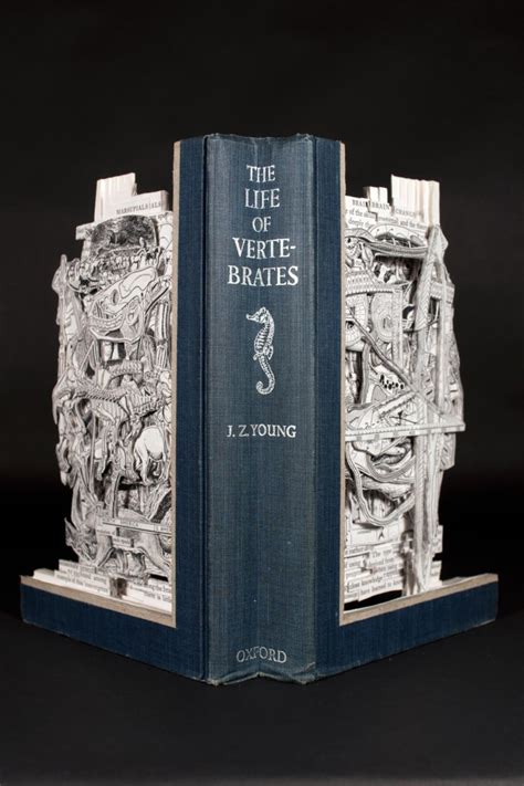 Brian Dettmer In 2020 Book Art Art Brian Dettmer