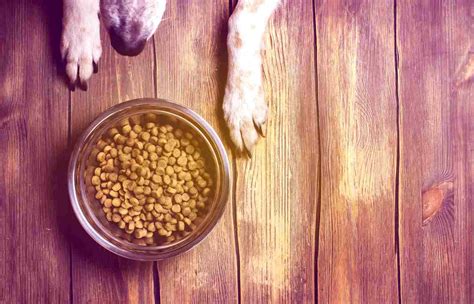 They also say this food has gotten rid of their dog's bad gas and made their fur coats very. Top 15 Dog Foods For Anal Gland Problems in 2021 ...