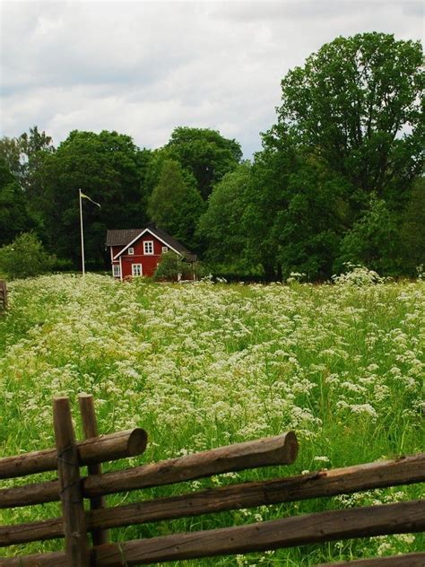 På lördag är det midsommardagen. Önskar er alla en riktig GLAD MIDSOMMAR!.. - Plats ...