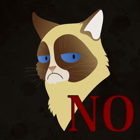 Grumpy Cat Says No By Kravinoff On Deviantart
