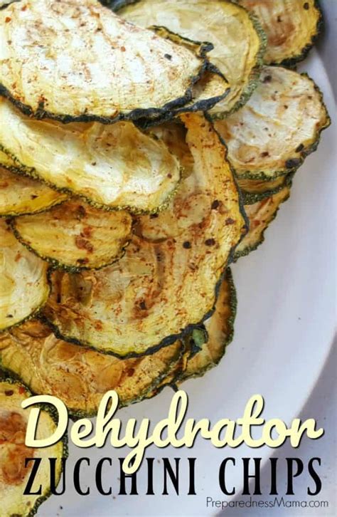 The ingredient list for these zucchini chips is as simple as they are to make. No Fat Dehydrator Zucchini Chips | PreparednessMama