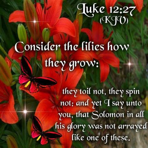 57 Best Images About Luke 1227 Kjv Consider The Lilies Of The Field
