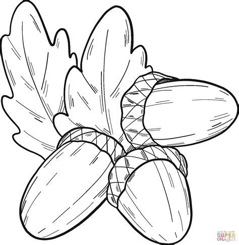 Acorns coloring page | Free Printable Coloring Pages