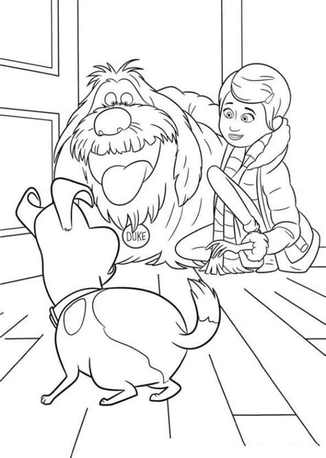 We would love you to know how you liked these coloring pages and of course, the movie. Kids-n-fun.com | 29 coloring pages of Secret Life of Pets