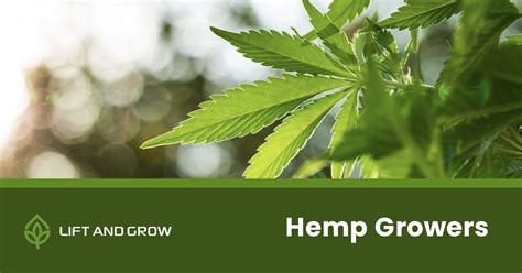Increased Productivity And Space For Hemp Growers Lift And Grow