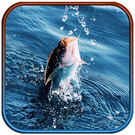 Real Wild Fishing Ace Catch Paradise By App Holdings