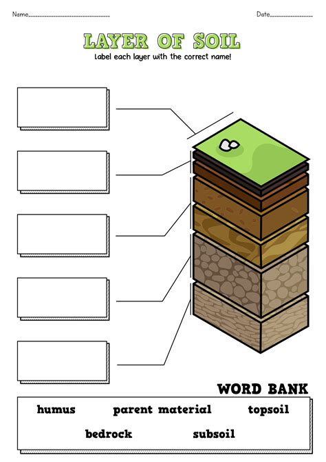 18 Soil Worksheets For 3rd Grade Free Pdf At