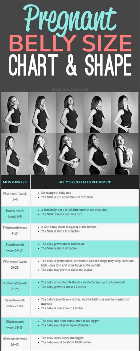 Pregnant Belly Chart
