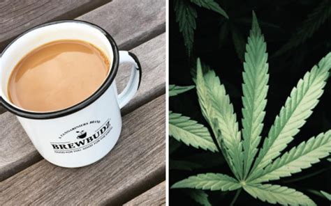 Weed Infused Coffee Is Here And I Finally Have A Reason To Wake Up In
