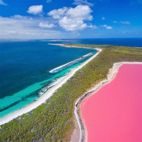 Conheça O Lago Hillier O Fantástico Lago Rosa Da Austrália