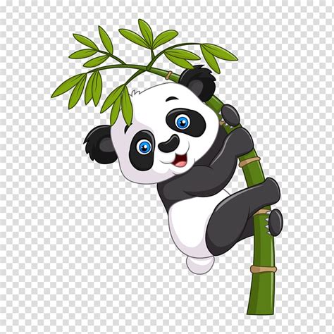 Giant Panda Cartoon Illustration Panda Giant Panda On Bamboo Tree