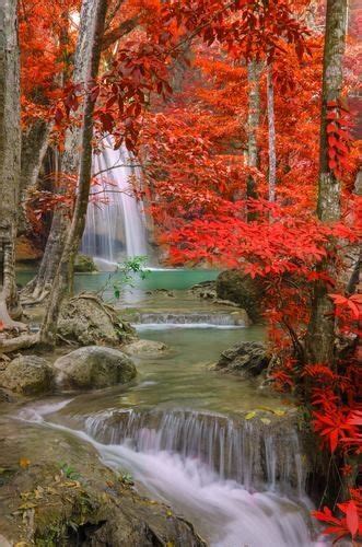Beautiful Waterfall Beautiful Nature Autumn Scenery Waterfall