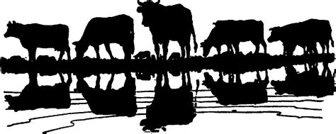 Cattle Drive Silhouette Clip Art Nicegirlhdwallpaperdownload