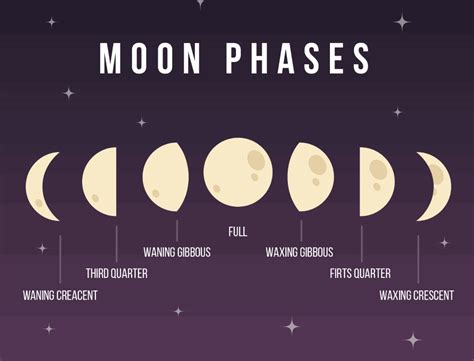 Moon Goes Through 8 Phases A New Moon A Solar Eclipse A Waxing Crescent The First