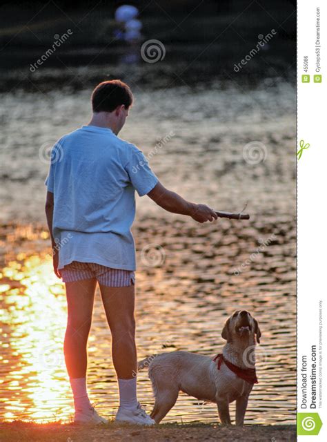 Dog Playing With His Man Royalty Free Stock Image Image