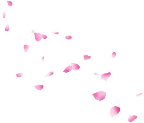 Petal Png Free Images With Transparent Background