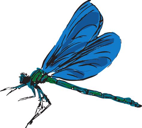 Cartoon Dragonfly Pictures Clipart Best