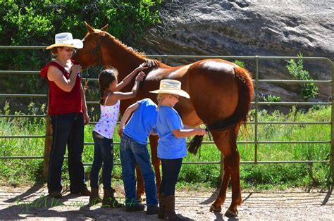 Check Out How Ex Racehorses Are Helping Children At The Charis Ranch