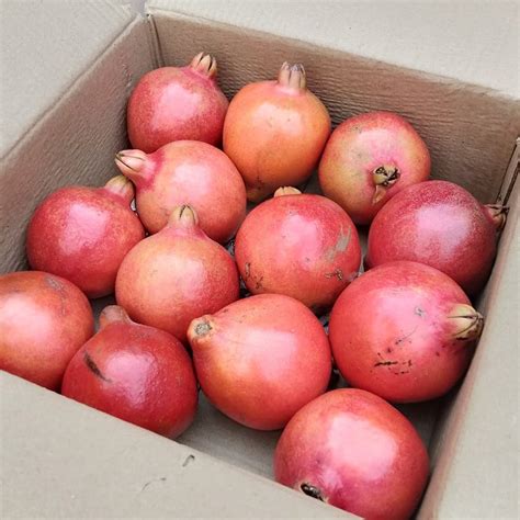 Buy Organic Fruits Online At Farmer Uncle Lbb Delhi