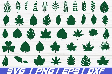 Leaves Svg Bundle Leaf Svg Bundle Leaves Cut File Cricut Silhouette Dxf