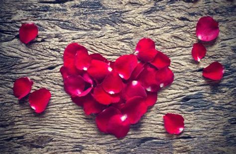 Commenta l'articolo e facci sapere se hai dei suggerimenti per noi, oppure seguici sui nostri canali. Frasi d'amore per lui e per lei: aforismi d'autore | DireDonna