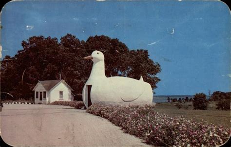 Maybe you would like to learn more about one of these? The Big Duck, Flanders Long Island, NY