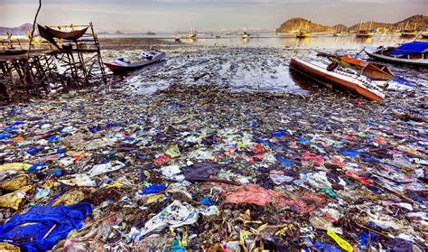 Oceanos Em 2050 Vão Ter Mais Plástico Do Que Peixes Oceanos Do Mundo
