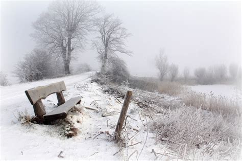Winter Bench Snow Trees Seasons Landscape Wallpapers Hd Desktop