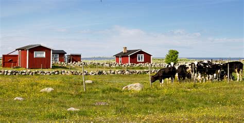 Die großstädte sind schick, modern und progressiv, während man auf dem lande ein einfacheres leben und vor allem viel ruhe vorfindet. Schweden - Bauernhofurlaub.de