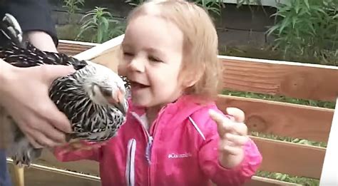 6 best thoughtful gifts for girlfriend. Kids Reacting To Meeting Chickens Is Just The Laugh You ...