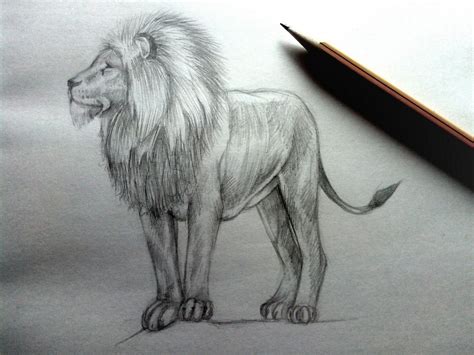 The same way you can draw well with a pencil and not paint well with a brush. How to draw a Lion with a pencil? | GetDrawings.com