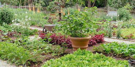 How To Create A Potager Aka French Vegetable Garden