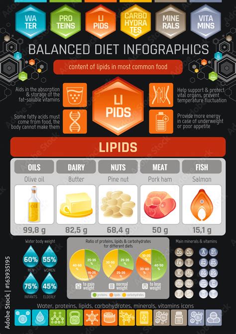 Lipids Medical Vector Illustration Infographic Carbohydrates Biology